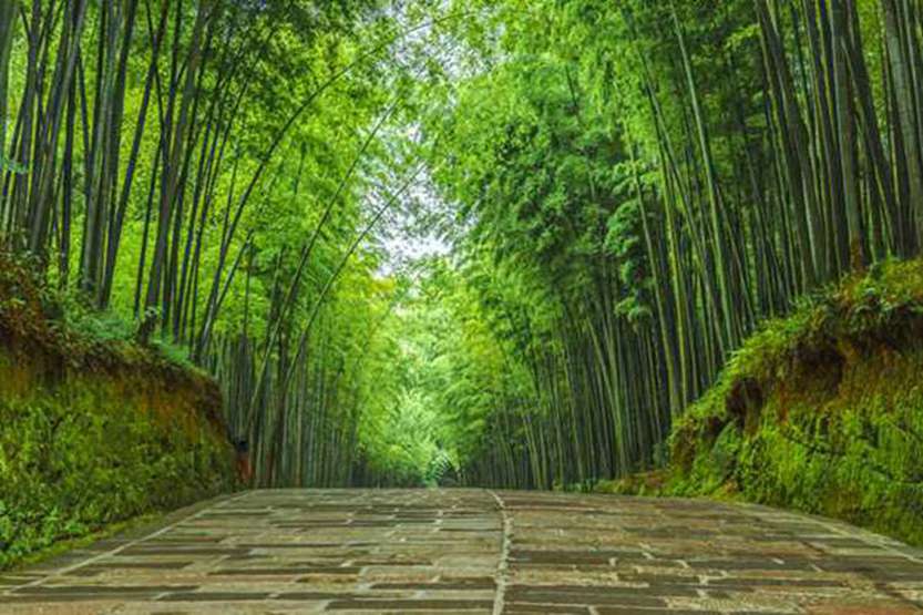 长沙旅游别再踩雷了！本地人私藏的十大必去景区，排名有讲究-第2张图片-四川省中国青年旅行社